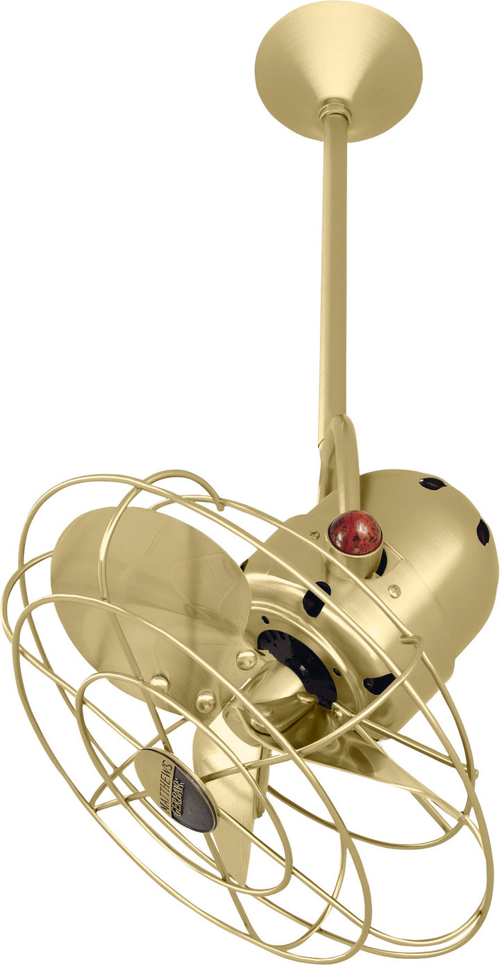 Matthews Fan Company Bianca Direcional BD-BRBR-MTL Ceiling Fan 13 - Brushed Brass, Brushed Brass/