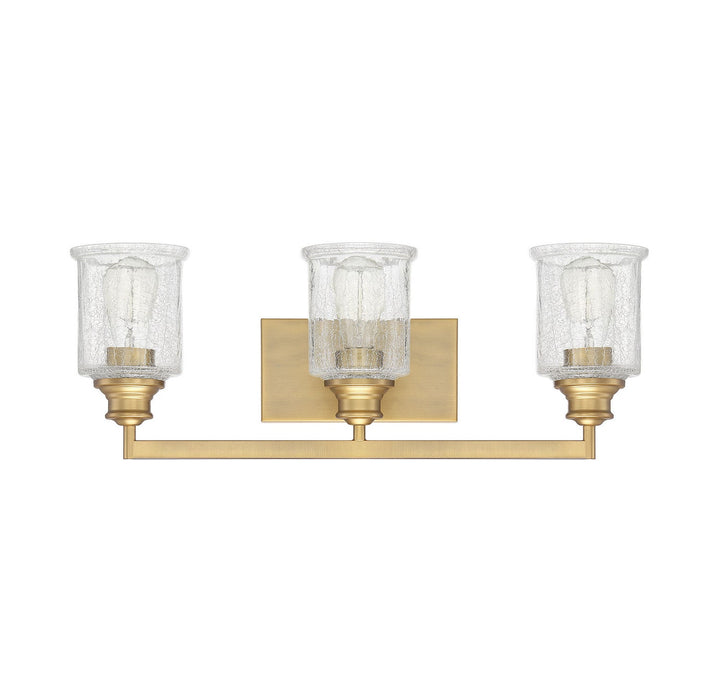 Savoy House Hampton 8-1972-3-322 Bath Vanity Light 24 in. wide - Warm Brass