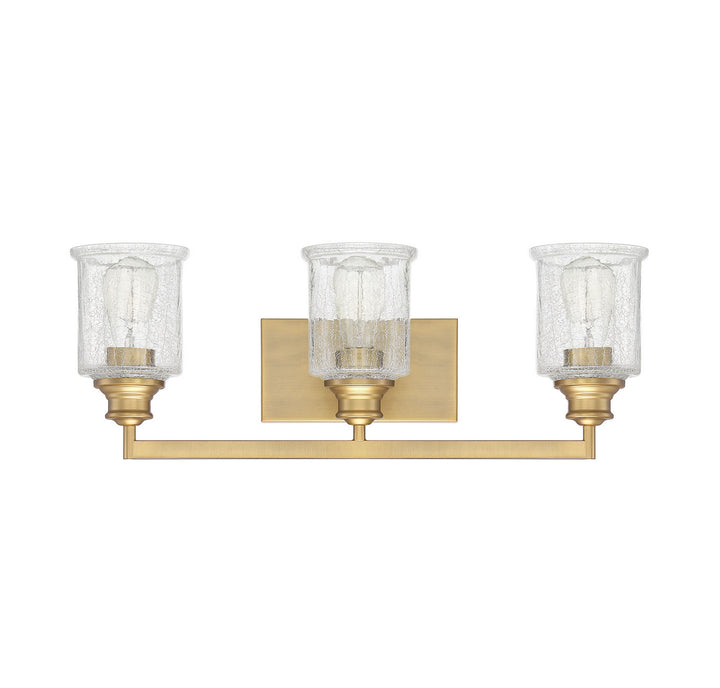 Savoy House Hampton 8-1972-3-322 Bath Vanity Light 24 in. wide - Warm Brass
