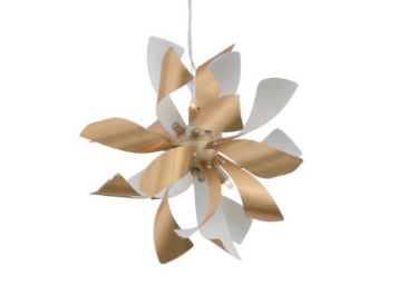 Zeev Bloom P30086-6-BB+MW Pendant Light - Brushed Brass w/Matte White
