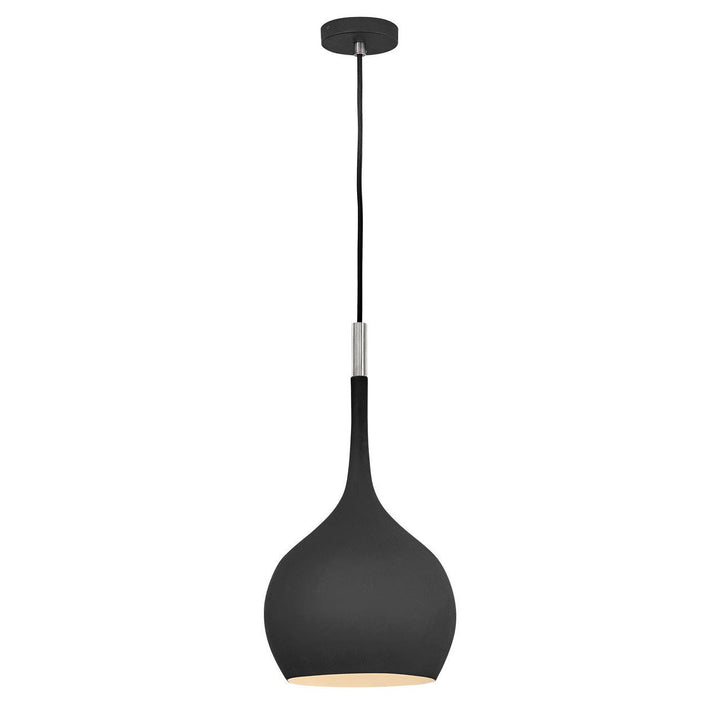 Hinkley Ziggy 4457BK Pendant Light - Black