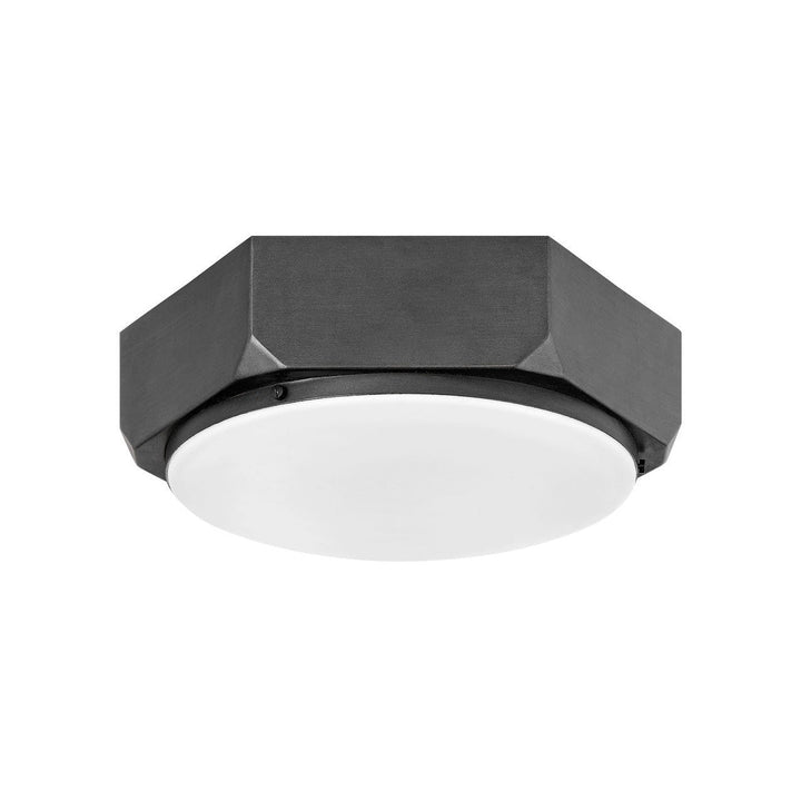 Hinkley Hex 4583BGR Ceiling Light - Brushed Graphite