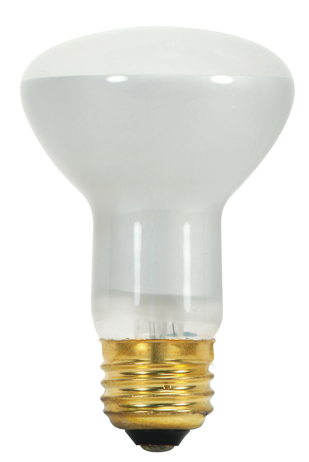 Satco Lighting S3849-TF  Light Bulb White