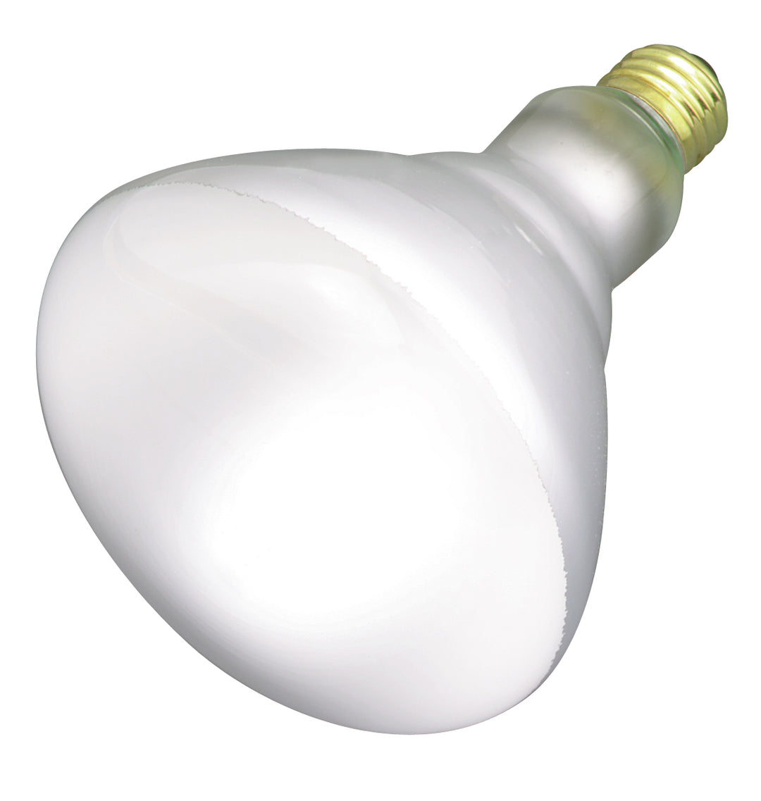 Satco Lighting S4453-TF  Light Bulb White