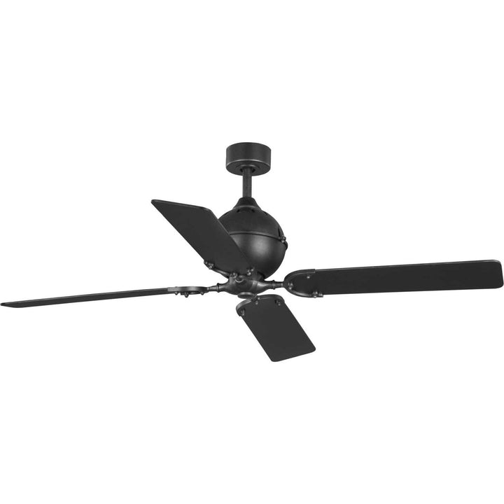 Progress Royer P250010-080 Ceiling Fan - Forged Black, Distressed Ebony, Matte Black/