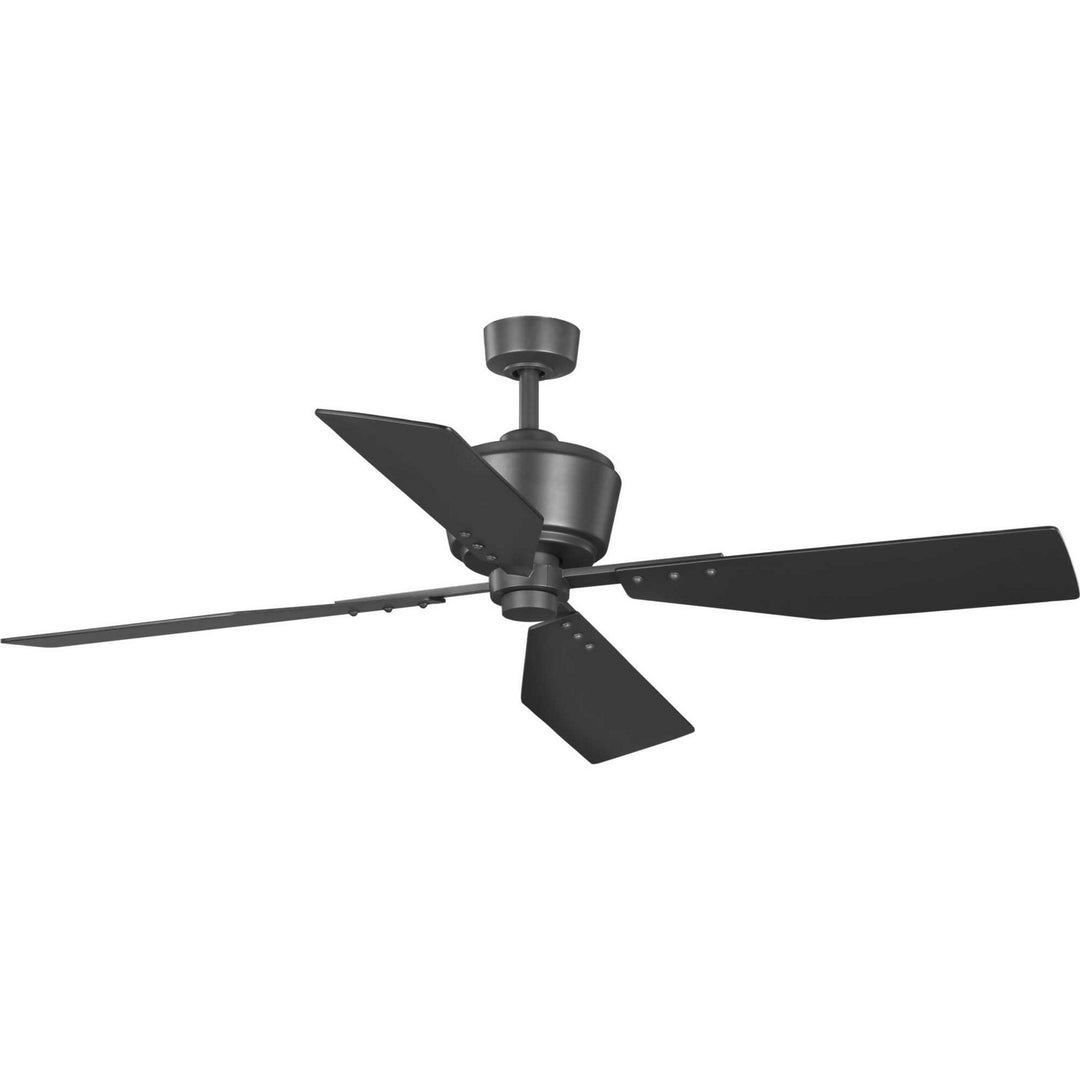 Progress Chapin P250022-143 Ceiling Fan - Graphite, Grey Weathered Wood/