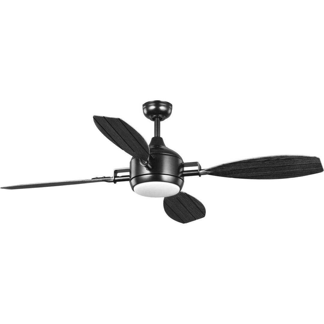 Progress Rudder P250040-031-30 Ceiling Fan - Black, Distressed Ebony/