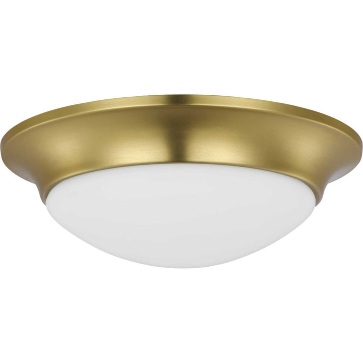 Progress Etched Opal Dome P350146-012 Ceiling Light - Satin Brass