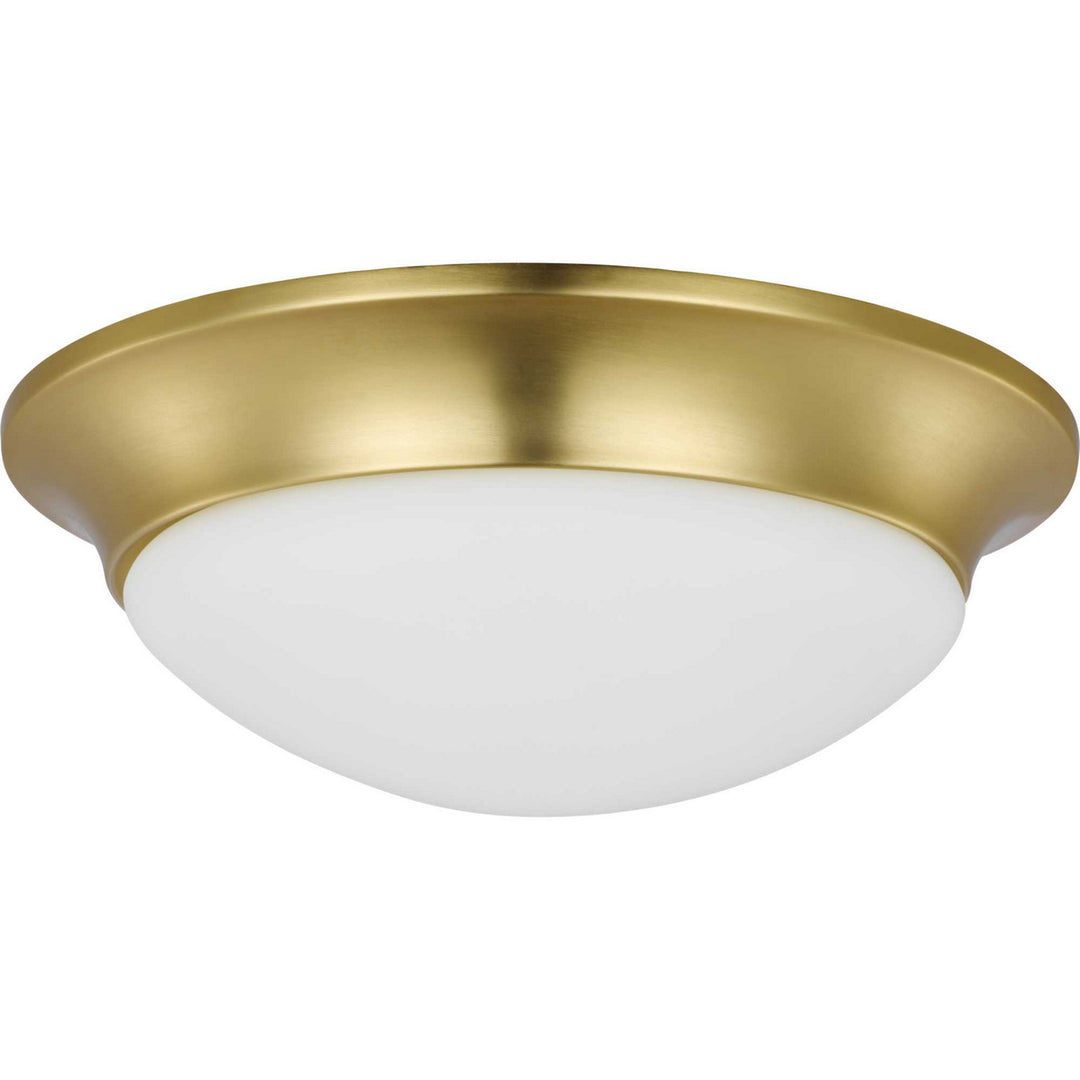 Progress Etched Opal Dome P350147-012 Ceiling Light - Satin Brass