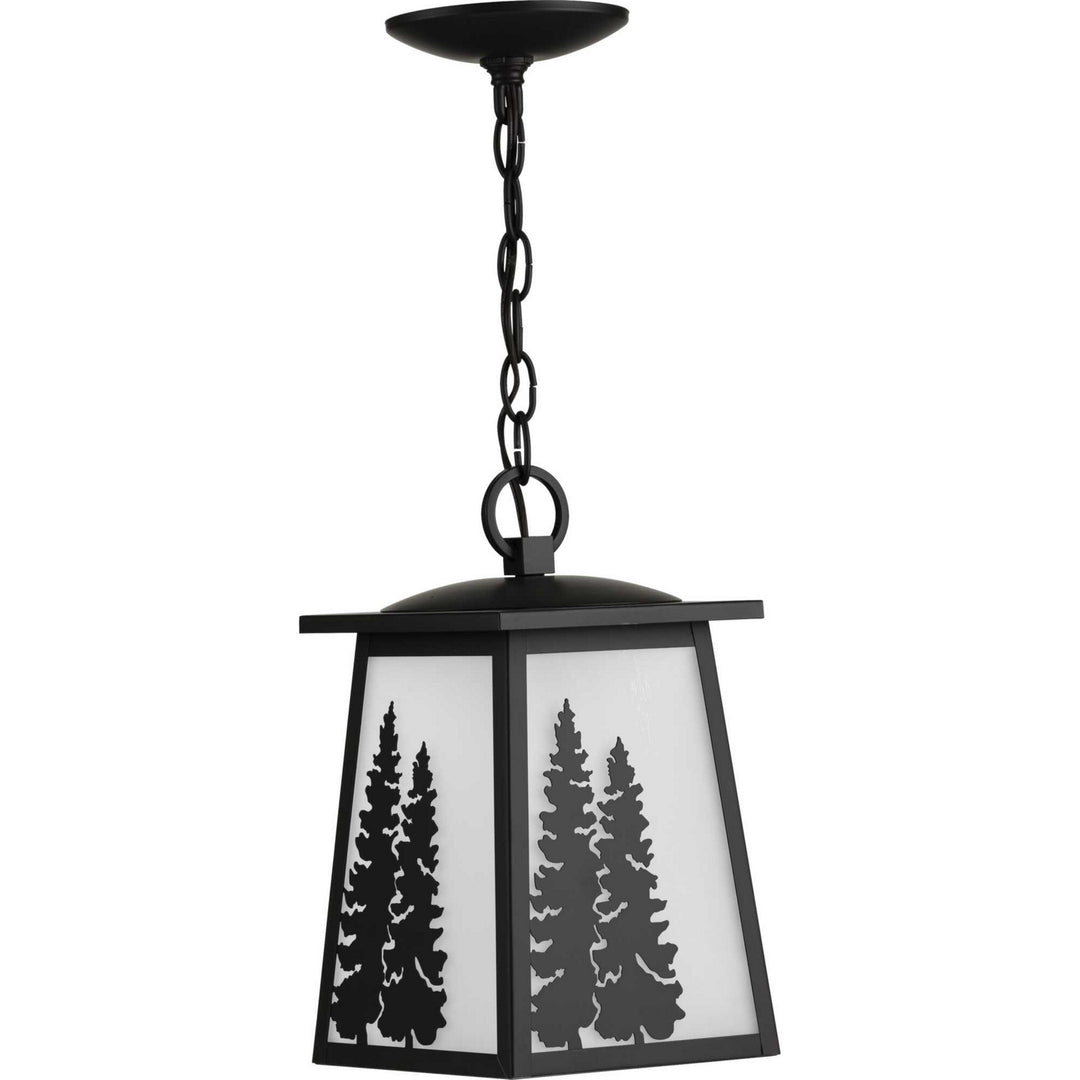 Progress Lighting P550060-020 Torrey One Light Hanging Lantern Outdoor Bronze / Dark