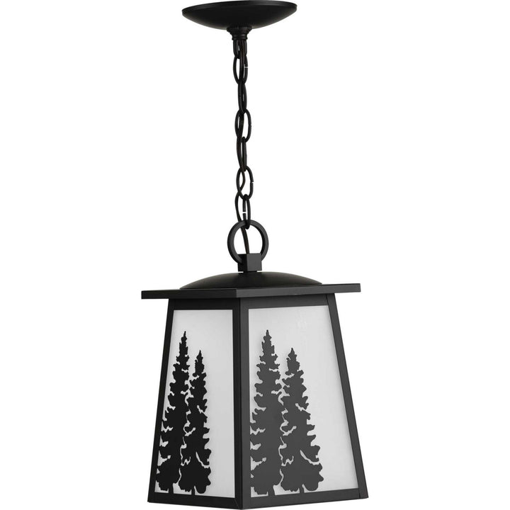 Progress Lighting P550060-020 Torrey One Light Hanging Lantern Outdoor Bronze / Dark