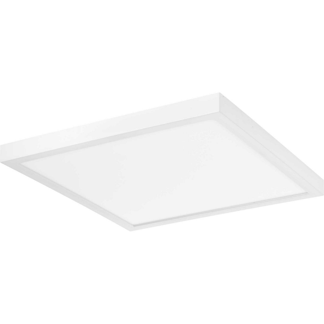 Progress Everlume Led P810021-030-30 Ceiling Light - White