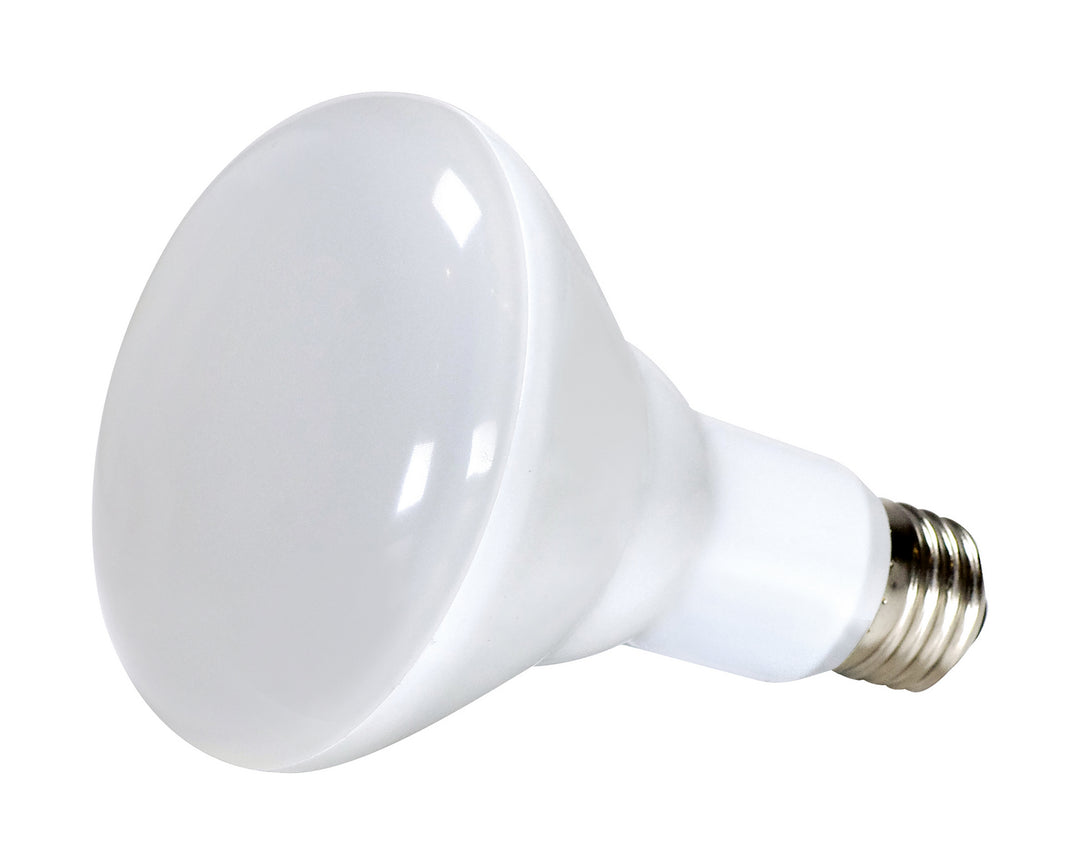 Satco Lighting S11420   Light Bulb Frost