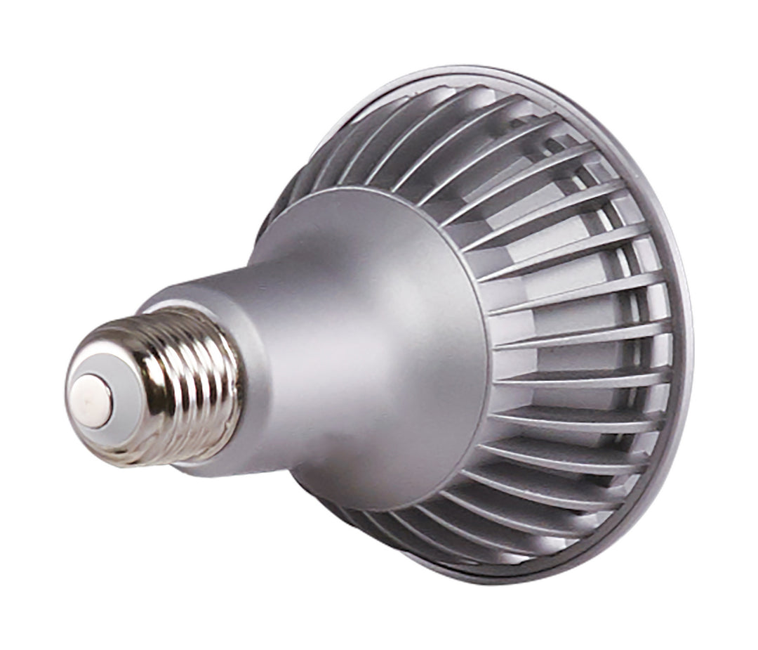 Satco Lighting S12243  Light Bulb Light Bulb Light