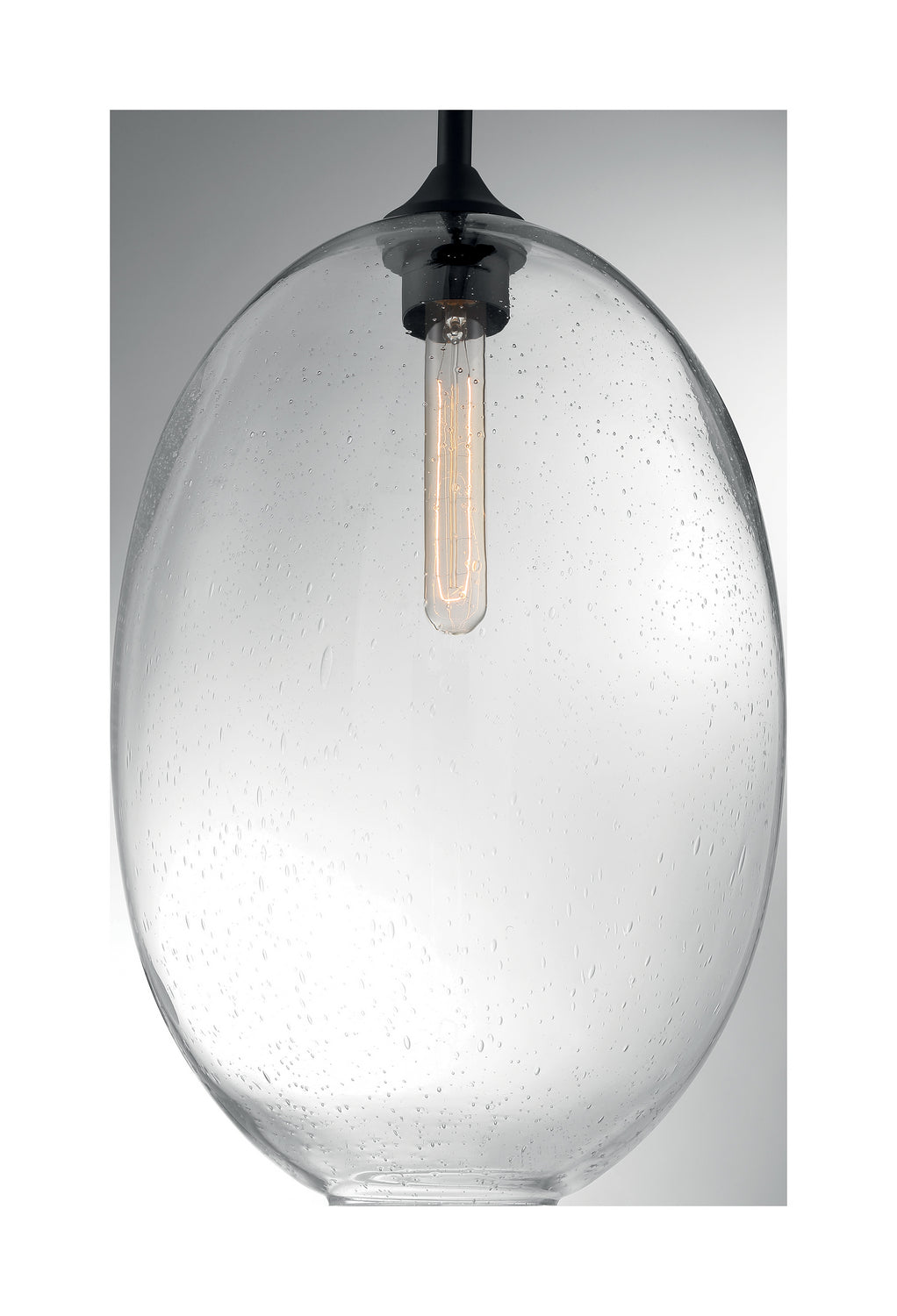 Nuvo Aria 60-7028 Pendant Light - Matte Black