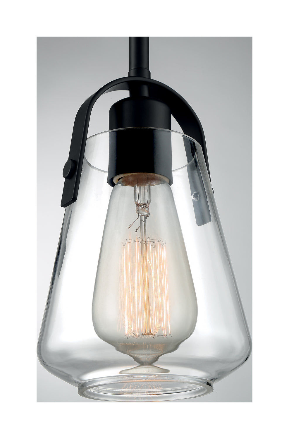 Nuvo Skybridge 60-7106 Pendant Light - Matte Black