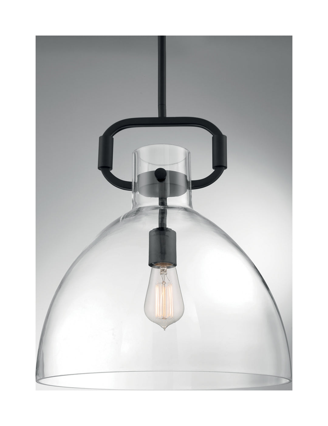 Nuvo Teresa 60-7152 Pendant Light - Matte Black