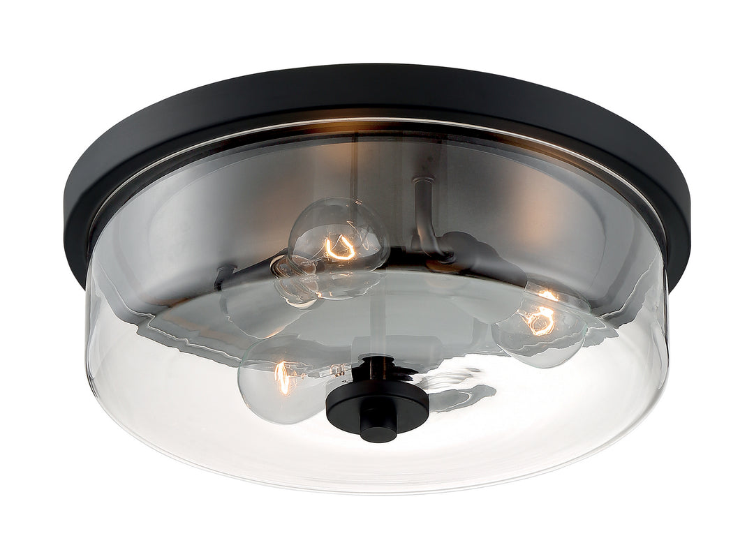 Nuvo Sommerset 60-7269 Ceiling Light - Matte Black