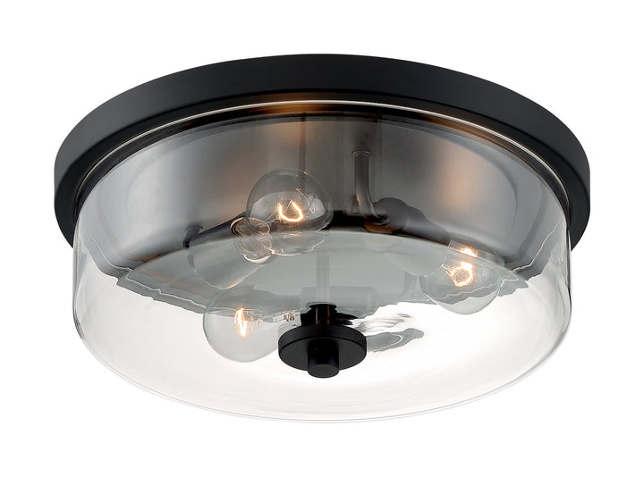 Nuvo Sommerset 60-7269 Ceiling Light - Matte Black