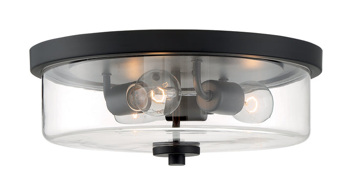 Nuvo Sommerset 60-7269 Ceiling Light - Matte Black