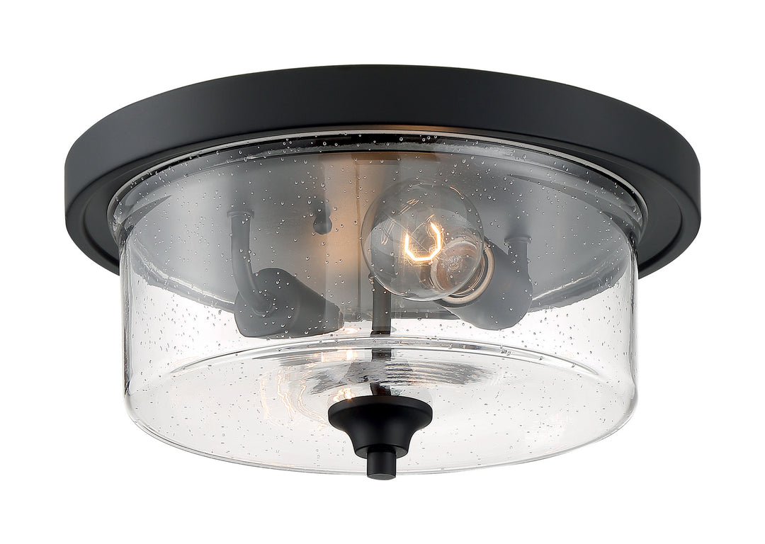 Nuvo Bransel 60-7290 Ceiling Light - Matte Black