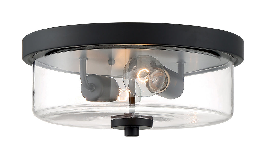 Nuvo Sommerset 60-7268 Ceiling Light - Matte Black