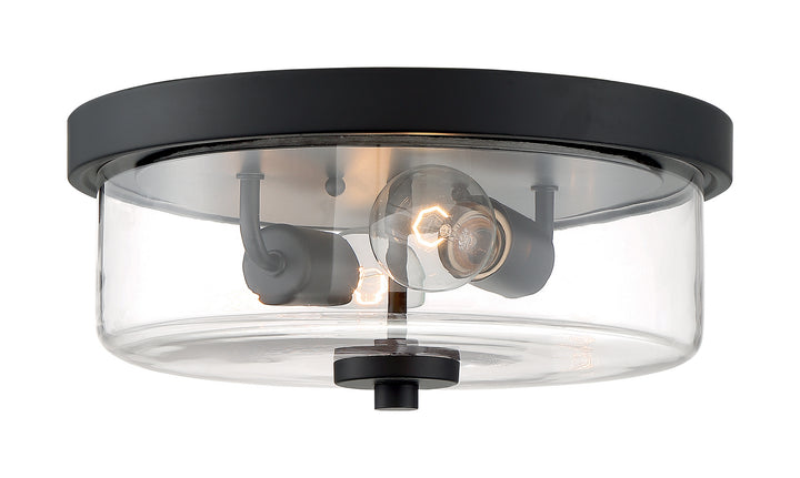 Nuvo Sommerset 60-7268 Ceiling Light - Matte Black