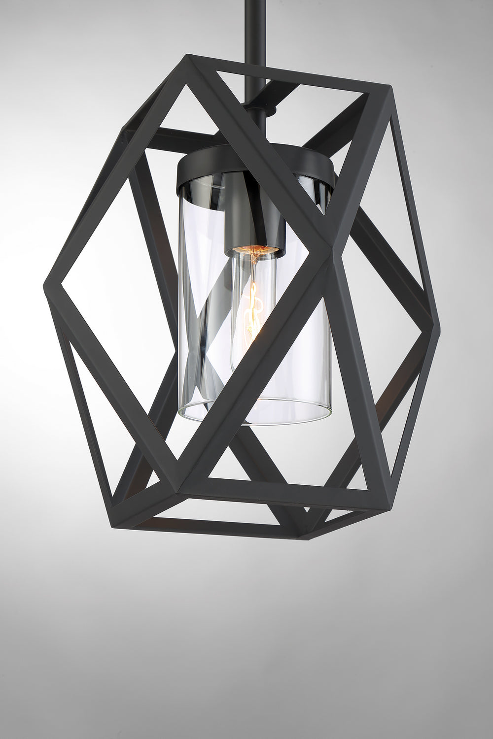 Nuvo Zemi 60-7302 Pendant Light - Black