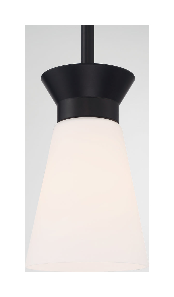 Nuvo Caleta 60-7314 Pendant Light - Black