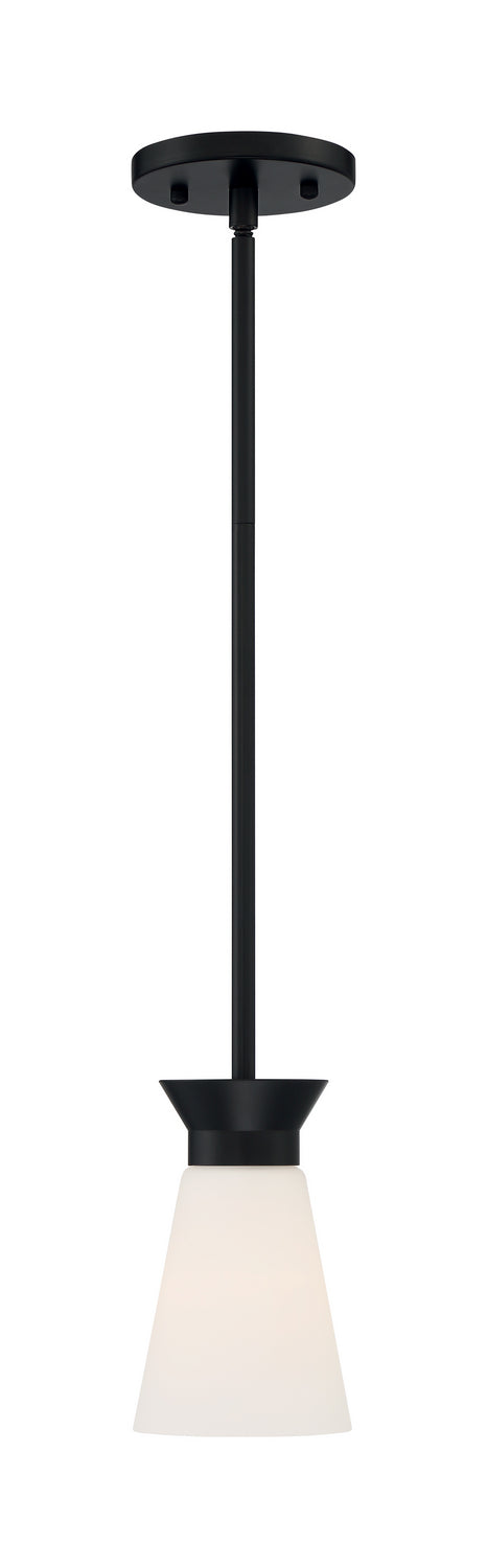 Nuvo Caleta 60-7314 Pendant Light - Black
