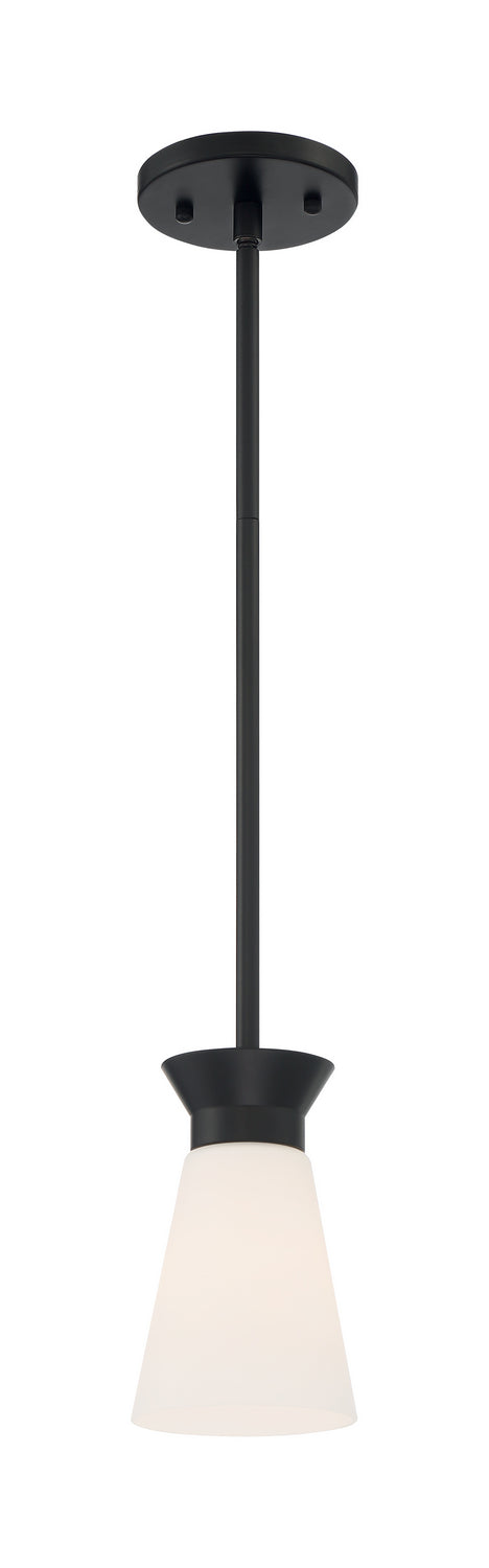 Nuvo Caleta 60-7314 Pendant Light - Black