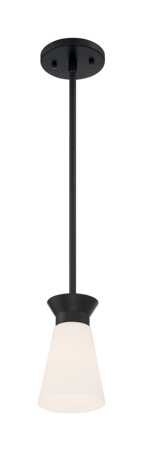 Nuvo Caleta 60-7314 Pendant Light - Black