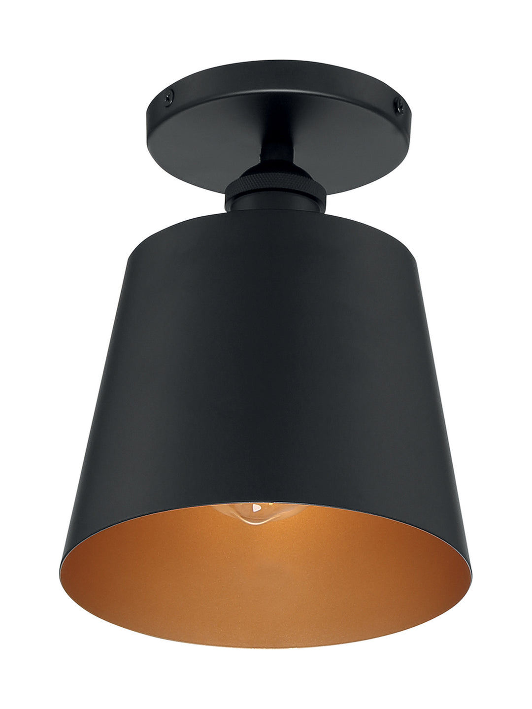 Nuvo Motif 60-7331 Ceiling Light - Black / Gold Accents