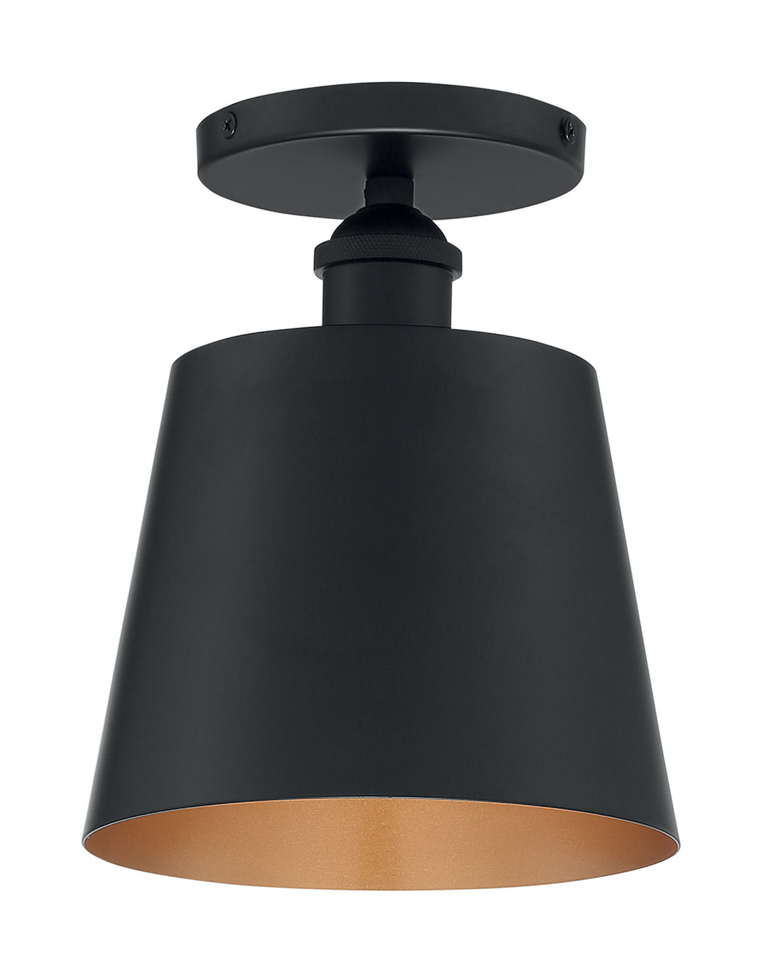 Nuvo Motif 60-7331 Ceiling Light - Black / Gold Accents