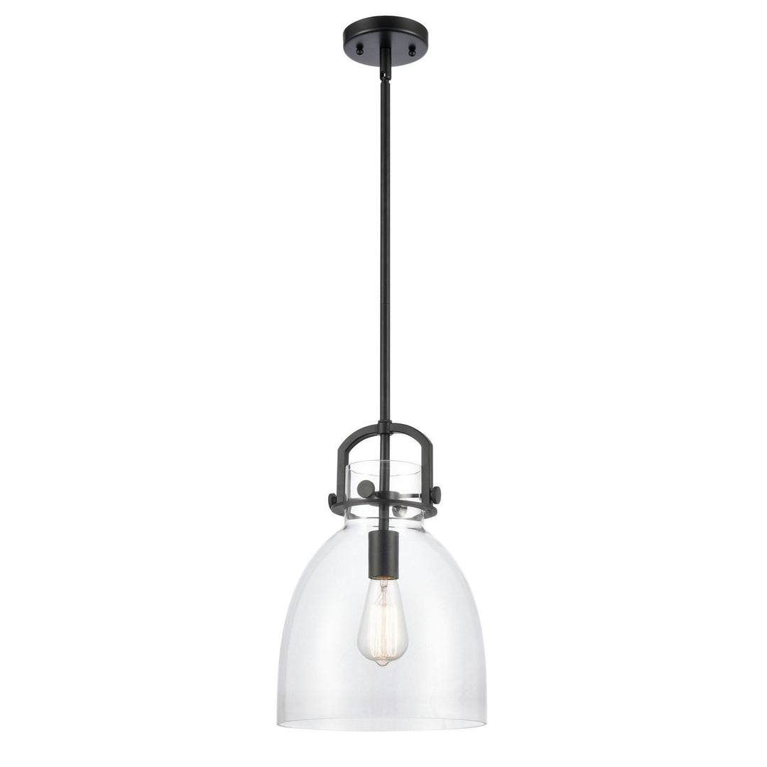 Innovations Newton 412-1S-BK-10CL Pendant Light - Matte Black