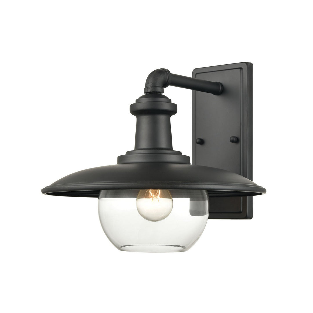 Elk Lighting 45431/1  Jackson Outdoor Matte Black