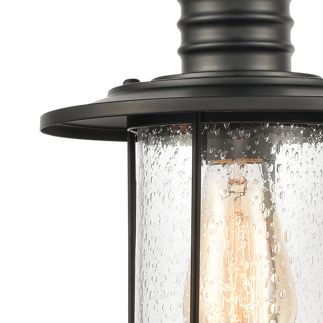 Elk Lakeshore Drive 46403/1 Pendant Light - Matte Black