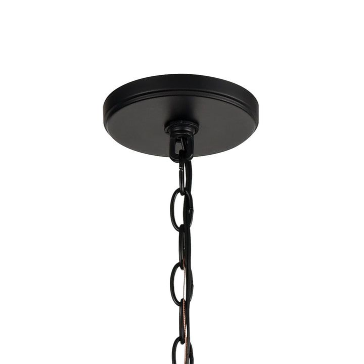 Elk Barrow 81416/6 Pendant Light - Matte Black