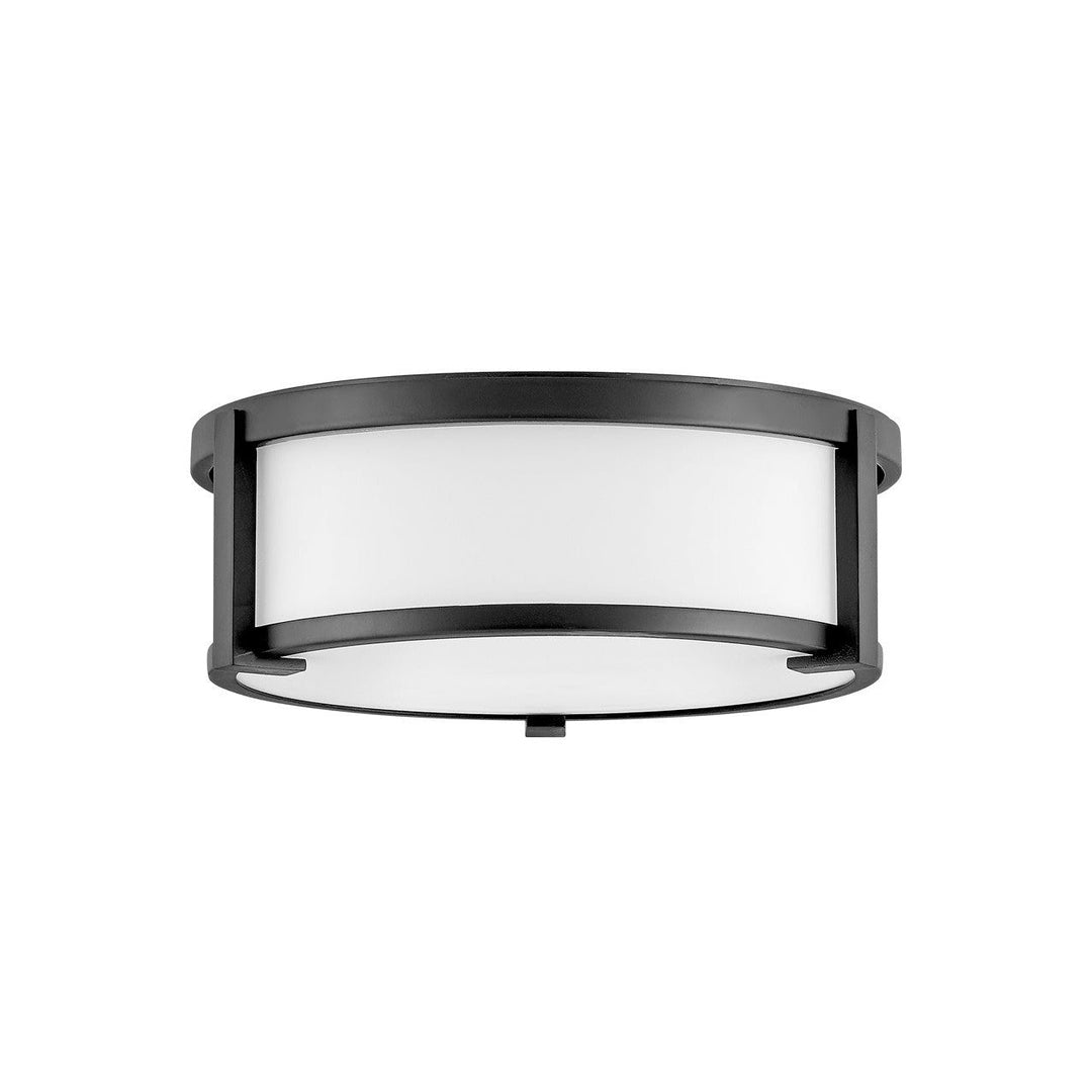 Hinkley Lowell 3241BK Ceiling Light - Black