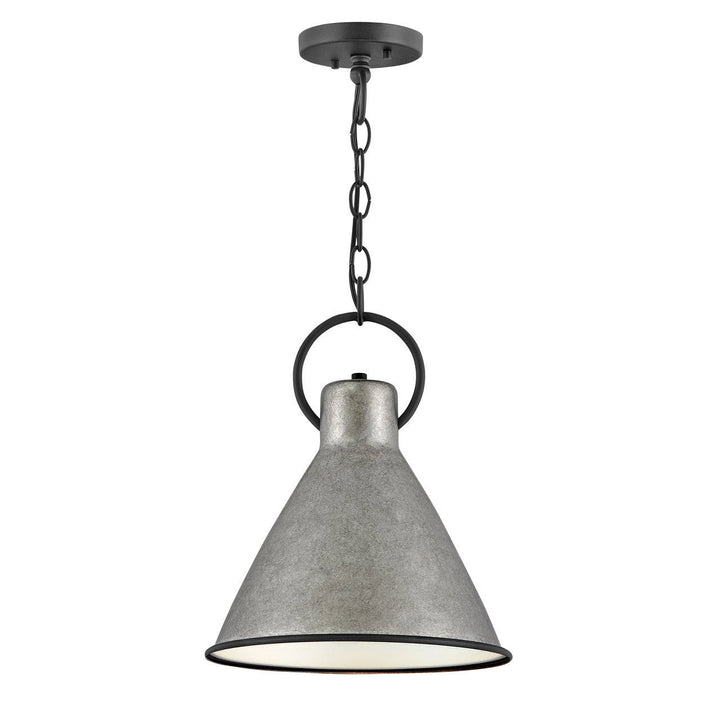 Hinkley Winnie 3557RP Pendant Light - Rustic Pewter