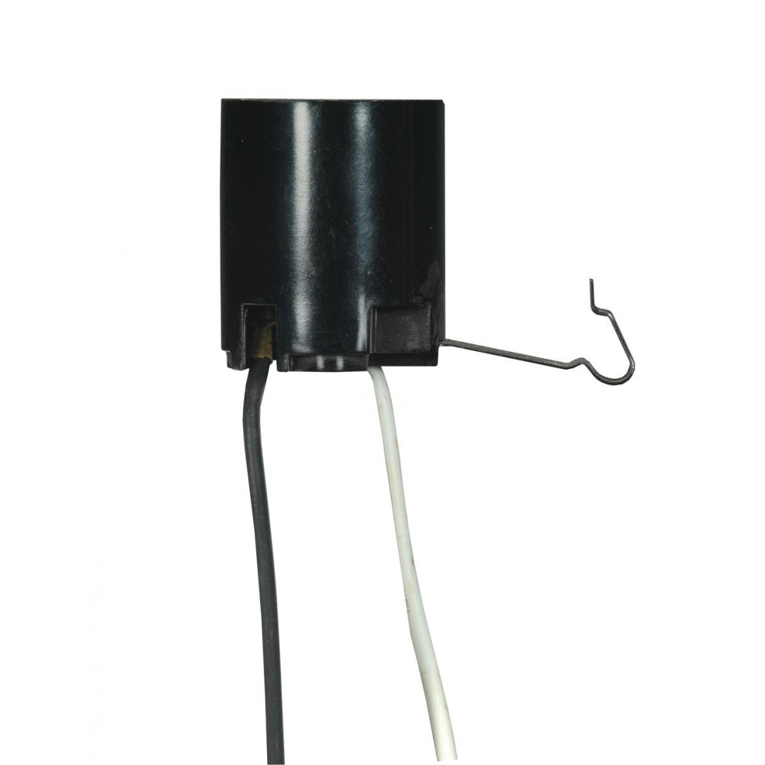 Satco Lighting 80-2162   Home Decor Black