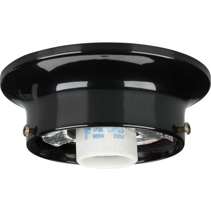 Satco Lighting 90-724   Home Decor Black