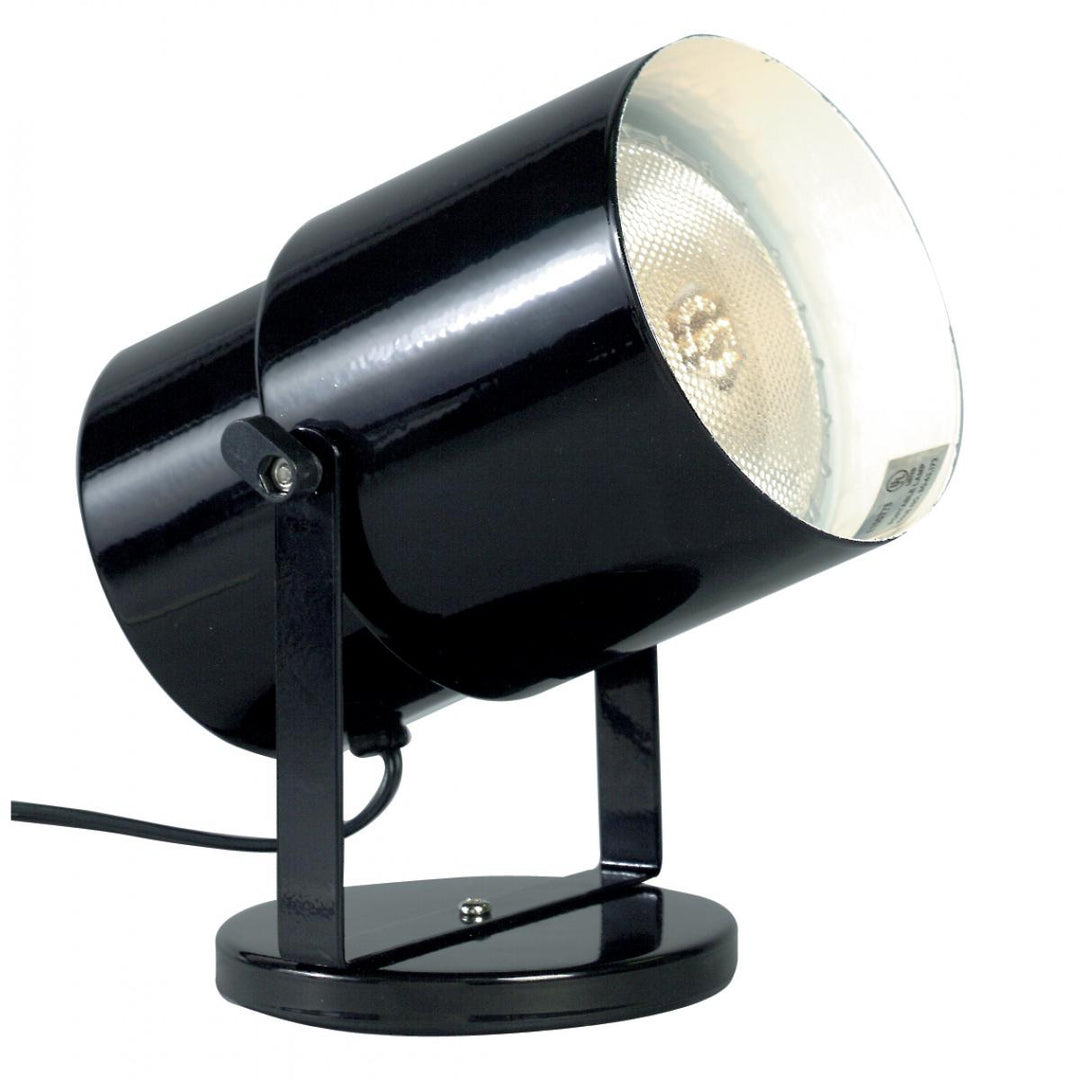 Satco Lighting SF77-394   Lamp Black / Steel