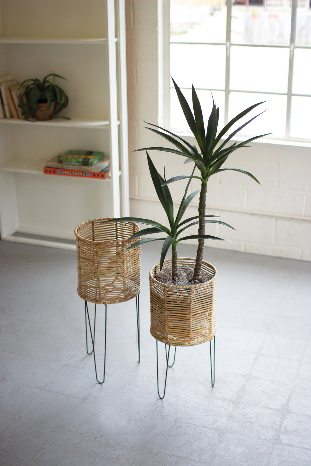 Kalalou Lighting A6157  Planter Home Decor Bronze / Dark