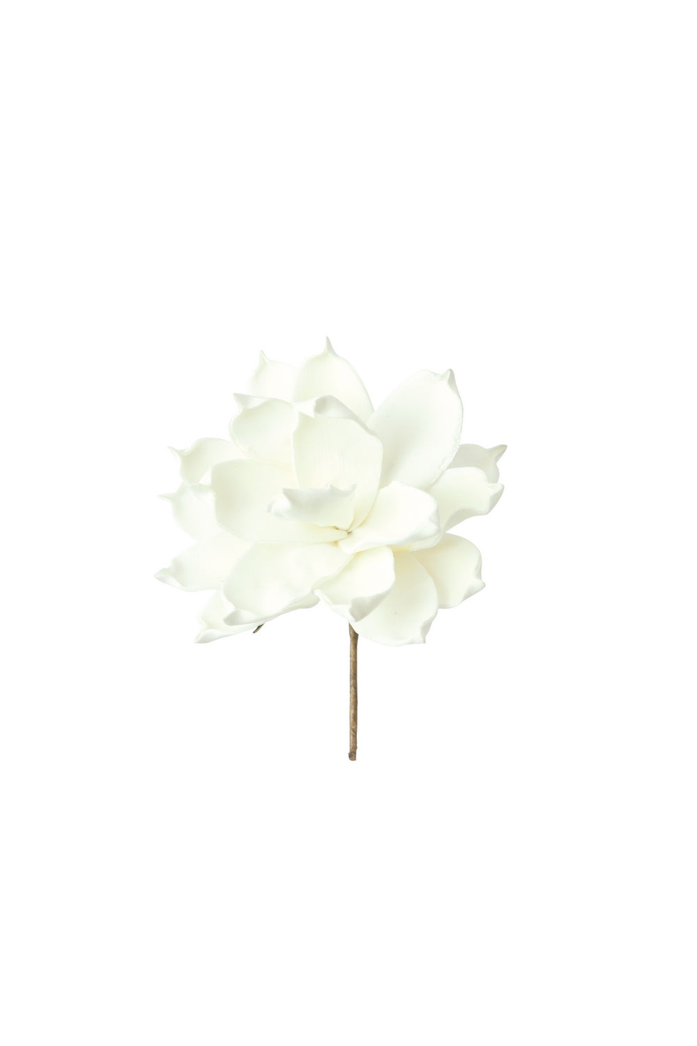 Kalalou Lighting CLX1124  Botanica Home Decor White