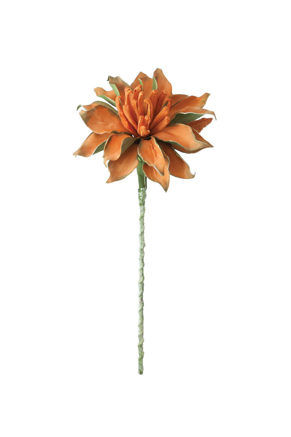 Kalalou Lighting CLX2206  Botanica Home Decor Bronze / Dark