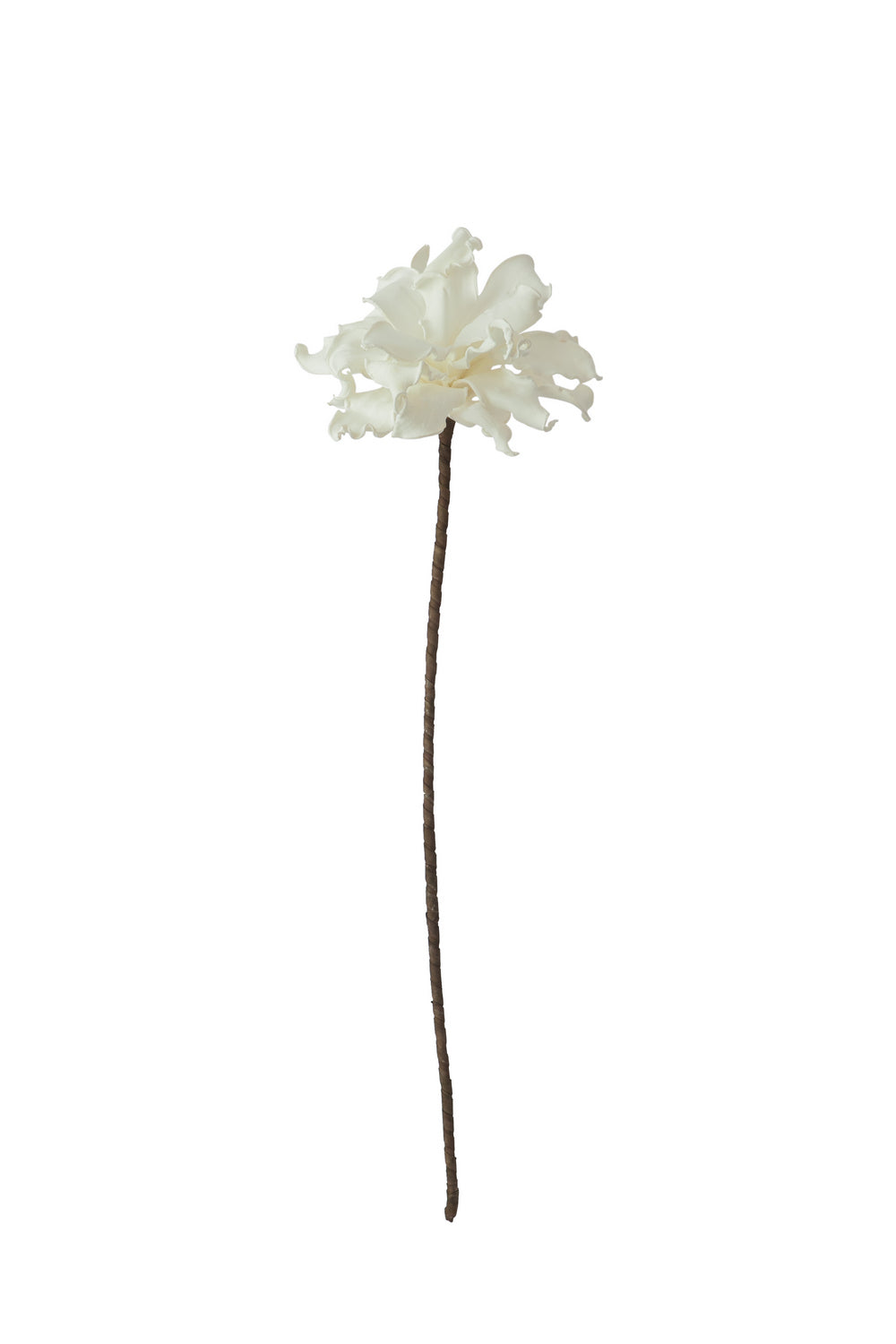 Kalalou Lighting CLX2280  Botanica Home Decor White