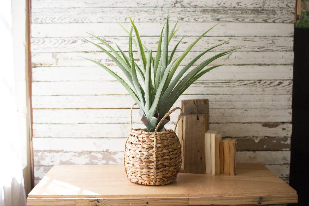 Kalalou Lighting CNL1219  Artificial Aloe In A Woven Pot Home Decor Bronze / Dark