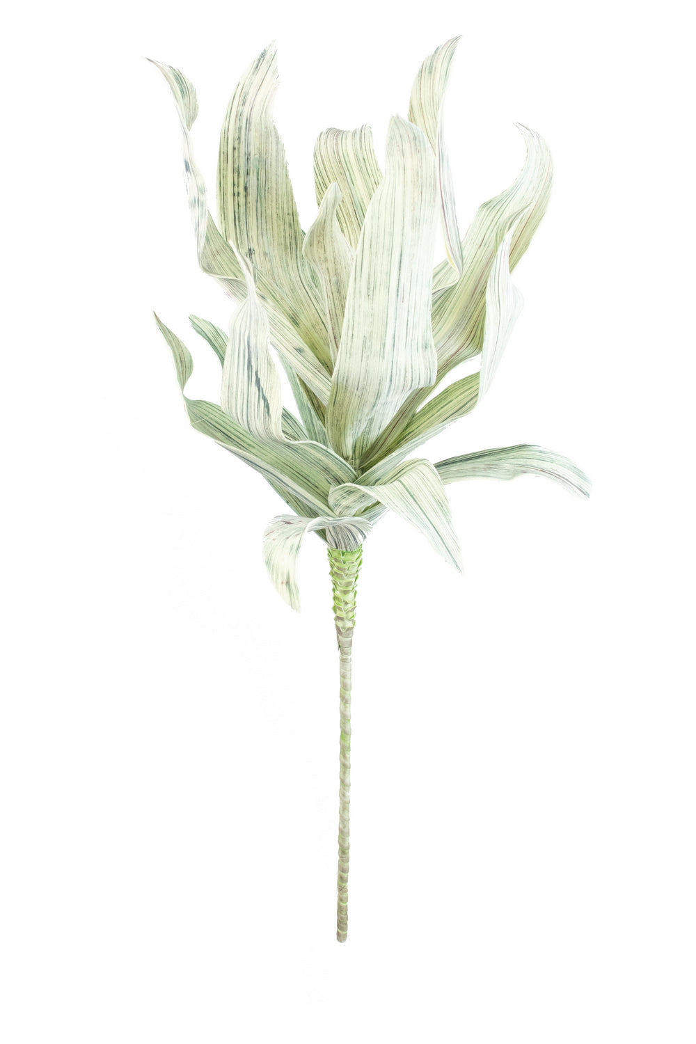 Kalalou Lighting CSL1302  Botanica Home Decor Bronze / Dark