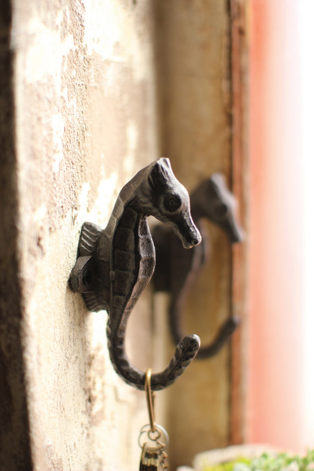 Kalalou Lighting CYB1118  Cast Sea Horse Hook Home Decor Bronze / Dark